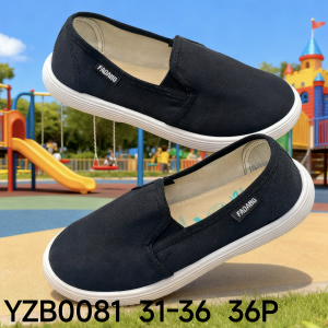 YZB0081